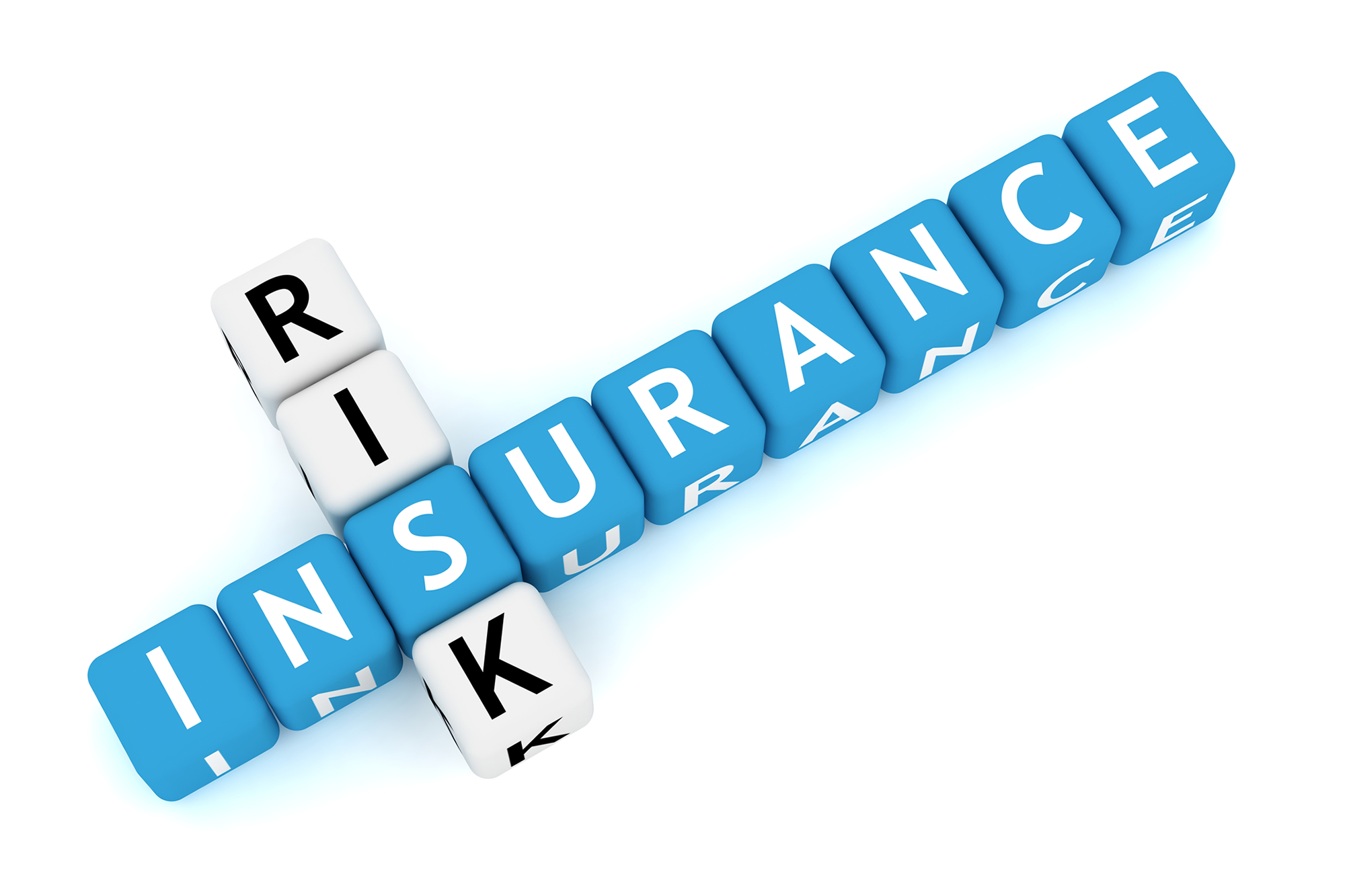 Southern Vanguard Insurance Risk Management